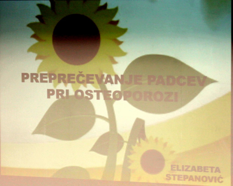 Strokovno predavanje ” Kako preprečimo padce”
