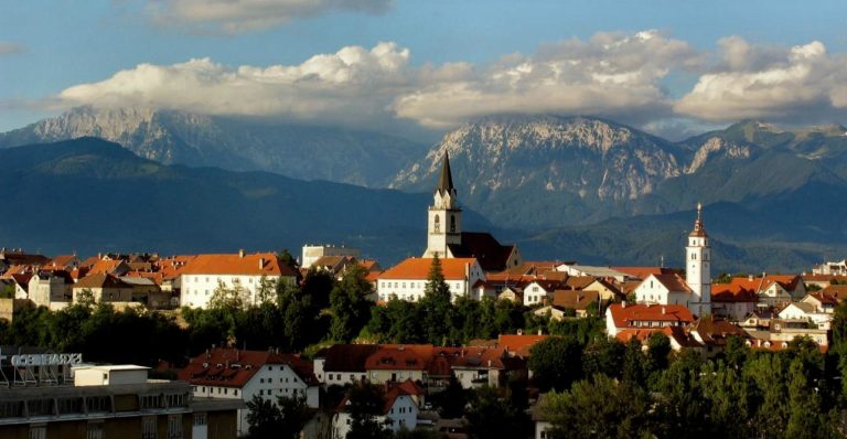 DBO Kranj – program dela