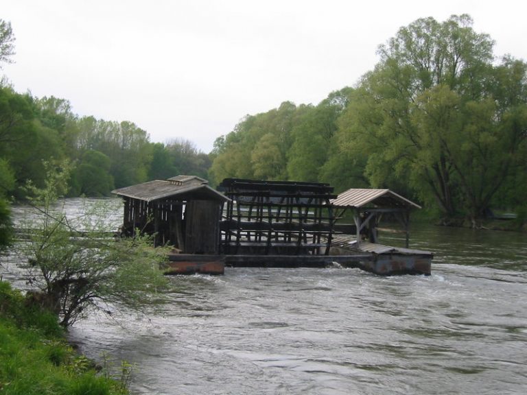 Gibanje je polovica zdravja