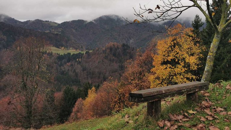 Podnebne spremembe in zdravje