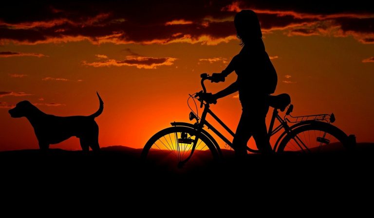 Gibanje je neprecenljivega pomena