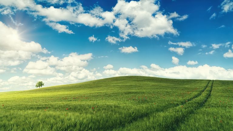 Z zdravnikom se posvetujte o preprostem jemanju vitamina D