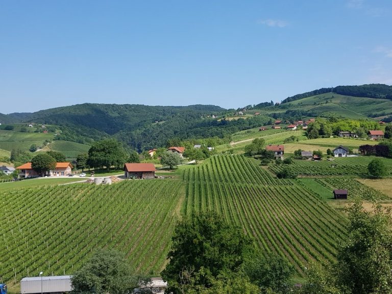 DPO Posavje: Zaključek po zaključku